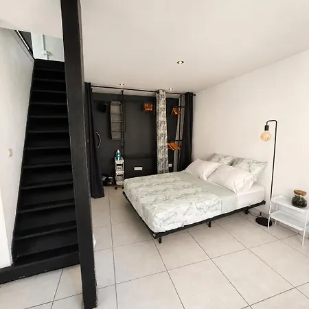 Loft Lumineux Apartament Narbona