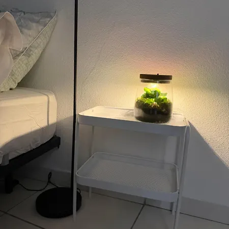 Apartament Loft Lumineux
